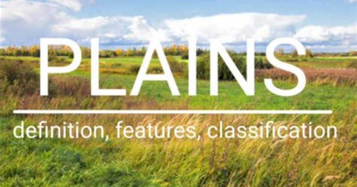 What Does Plain View Mean