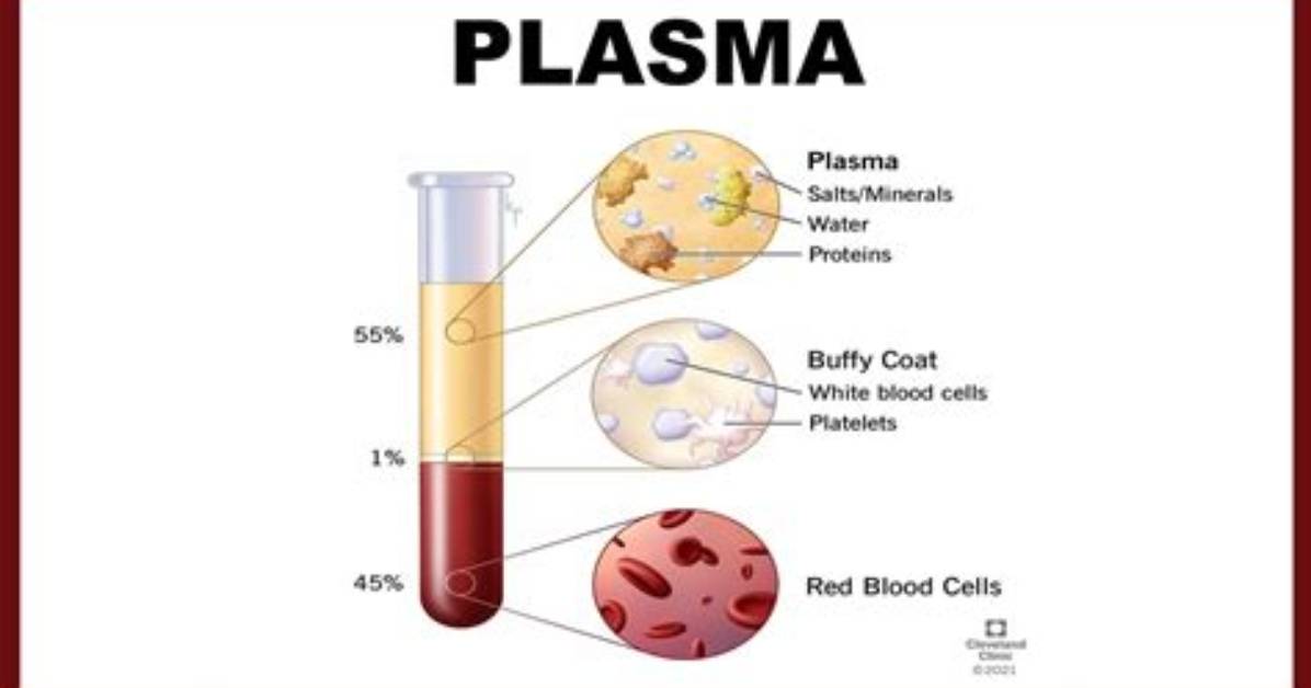 What Does Plasma Mean?