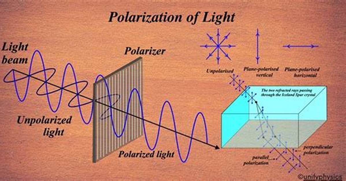 What Does Polarisation Mean?