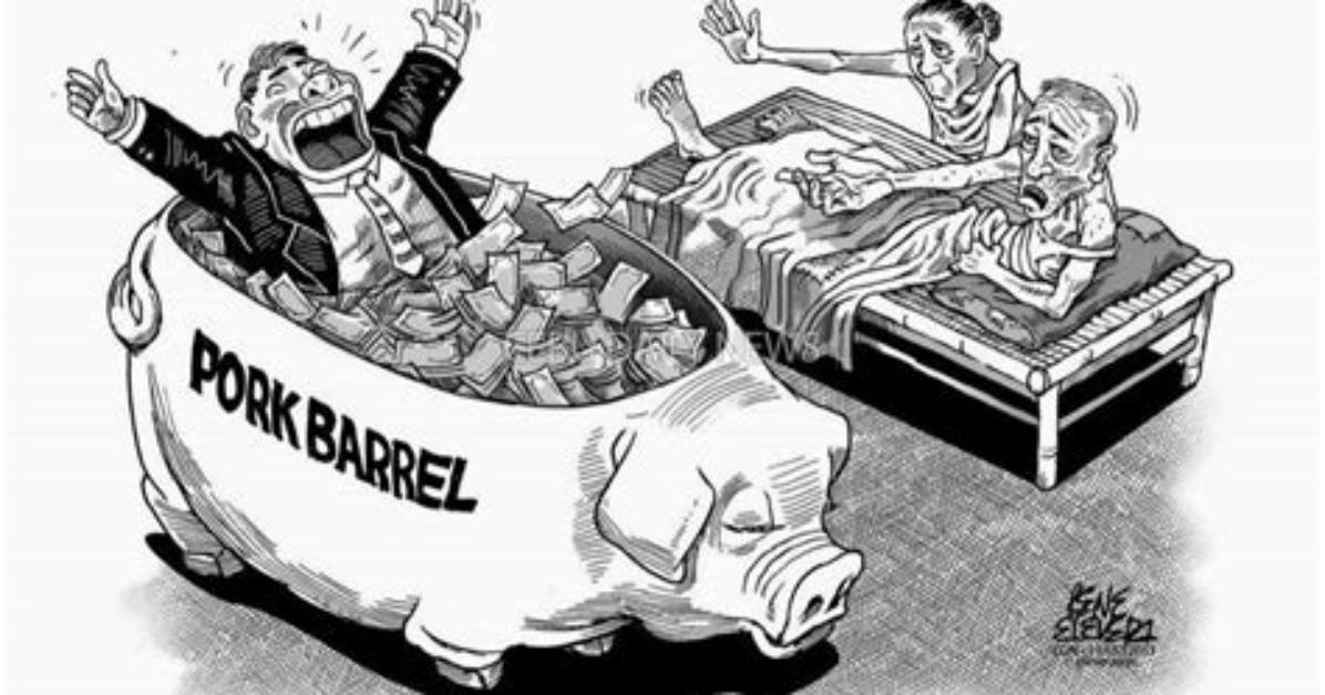 What Does Pork Barrel Mean?