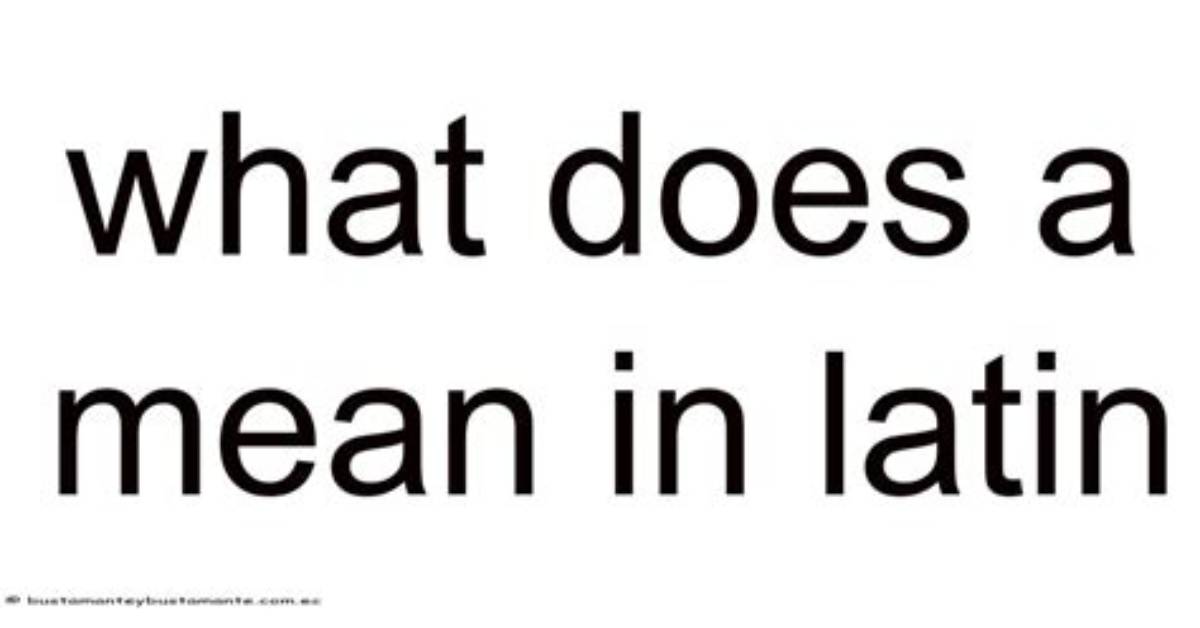 What Does Postpositive Mean in Latin?