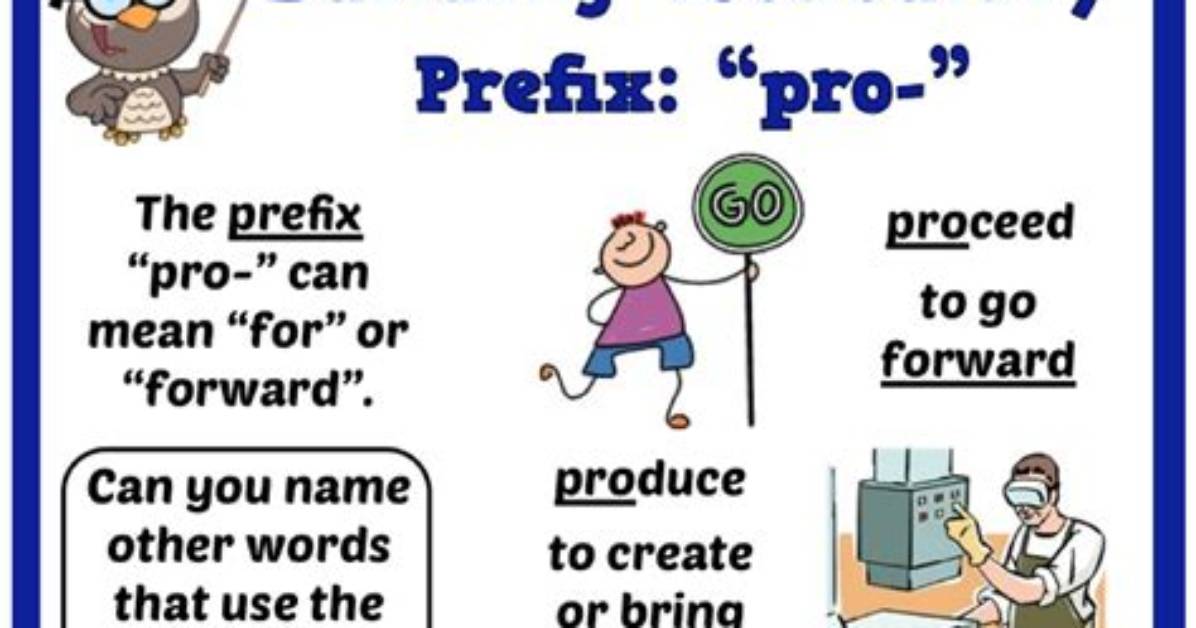 What Does Prefix Pro Mean?