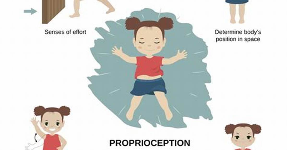 What Does Proprioception Mean