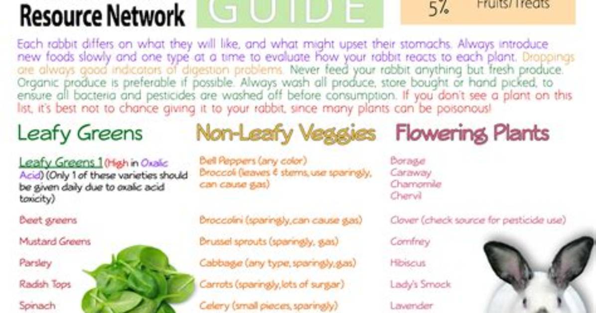 What Does Rabbit Go Well With