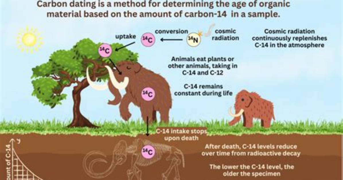 What Does Radiocarbon Dating Mean?