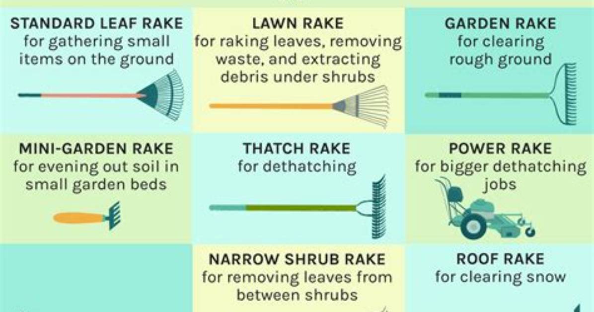 What Does Rake Mean