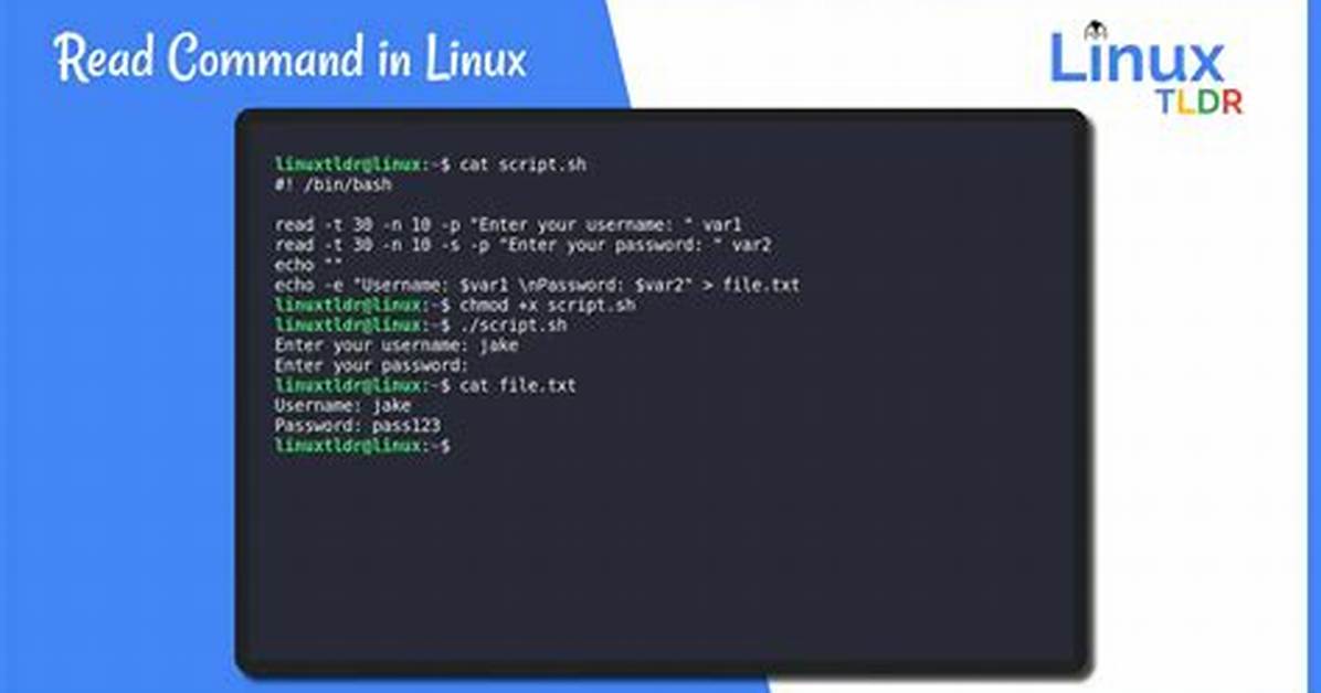 What Does Read Command Do in Linux?