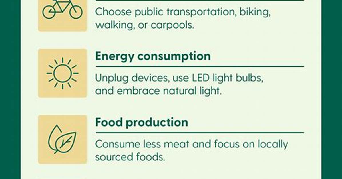 What Does Reducing Carbon Footprint Mean