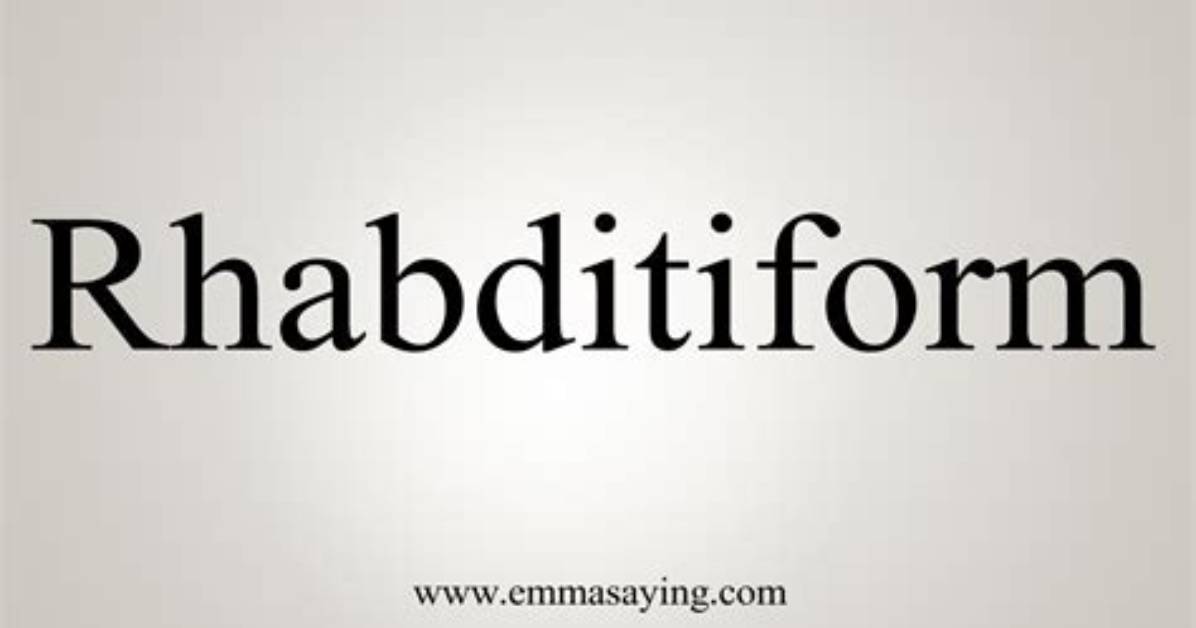 What Does Rhabditiform Mean?
