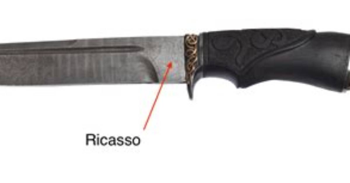 What Does Ricasso Mean?