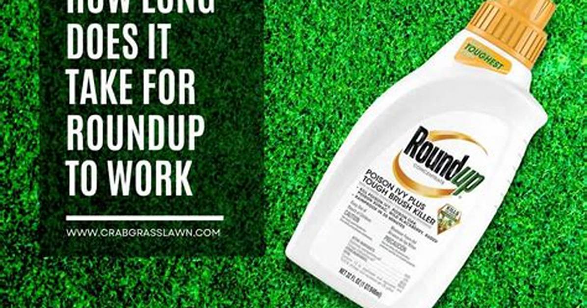 What Does Roundup Do to Your Body