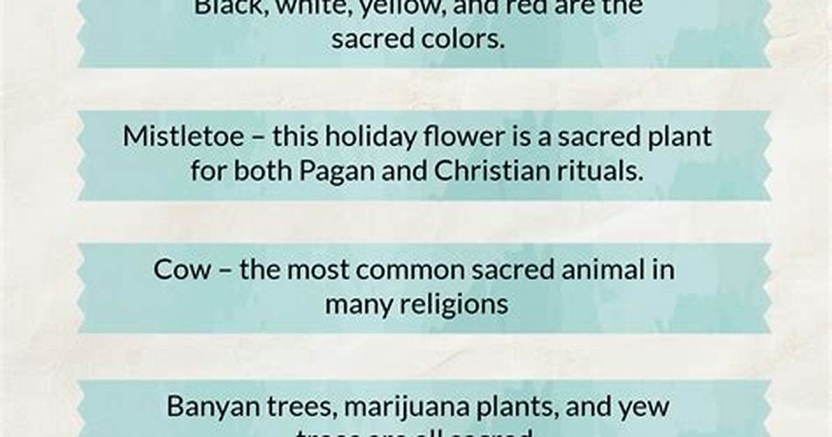 What Does Sacredness Mean?