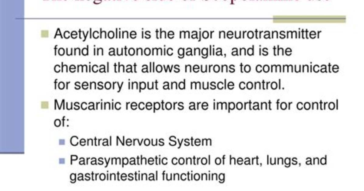 What Does Scopolamine Do to the Brain?
