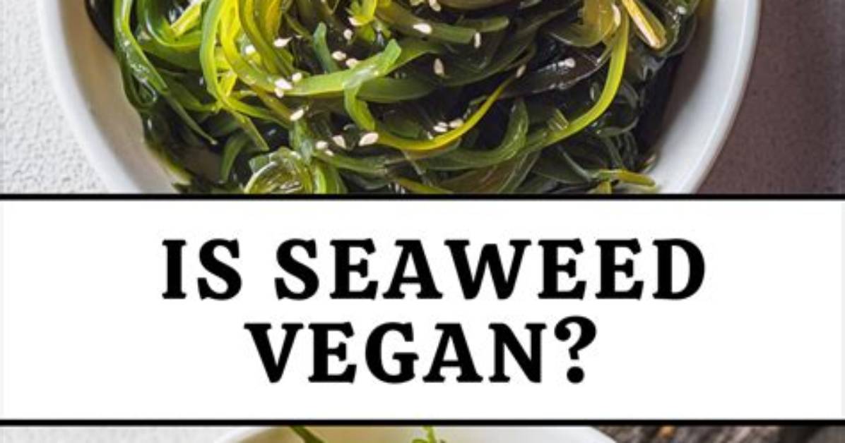 What Does Seaweed Contain