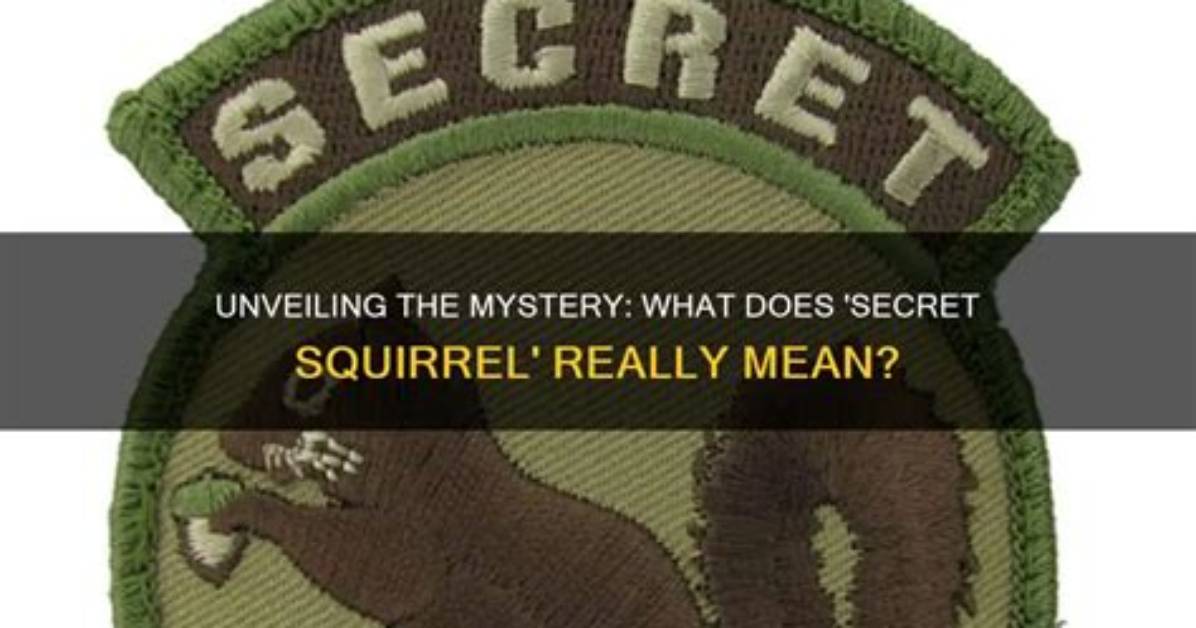 What Does Secret Stash Mean