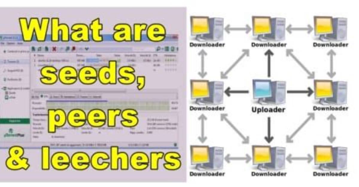 What Does Seeders and Leechers Mean?