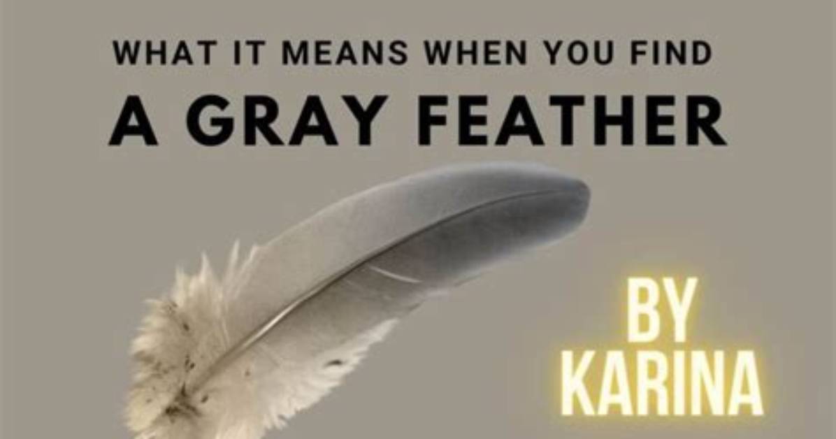 What Does Seeing a Grey Feather Mean?