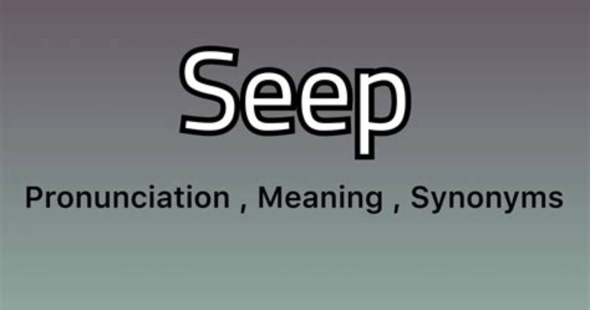 What Does Seep Mean - Lisbd-Net. Com