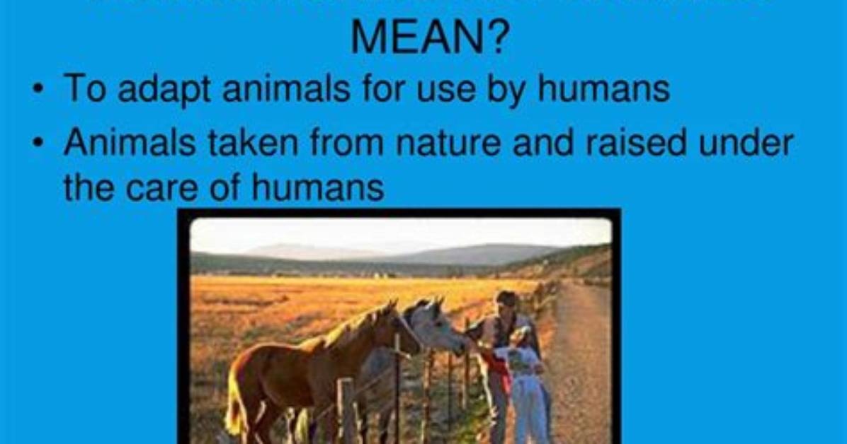 What Does Semi Domestication Mean?