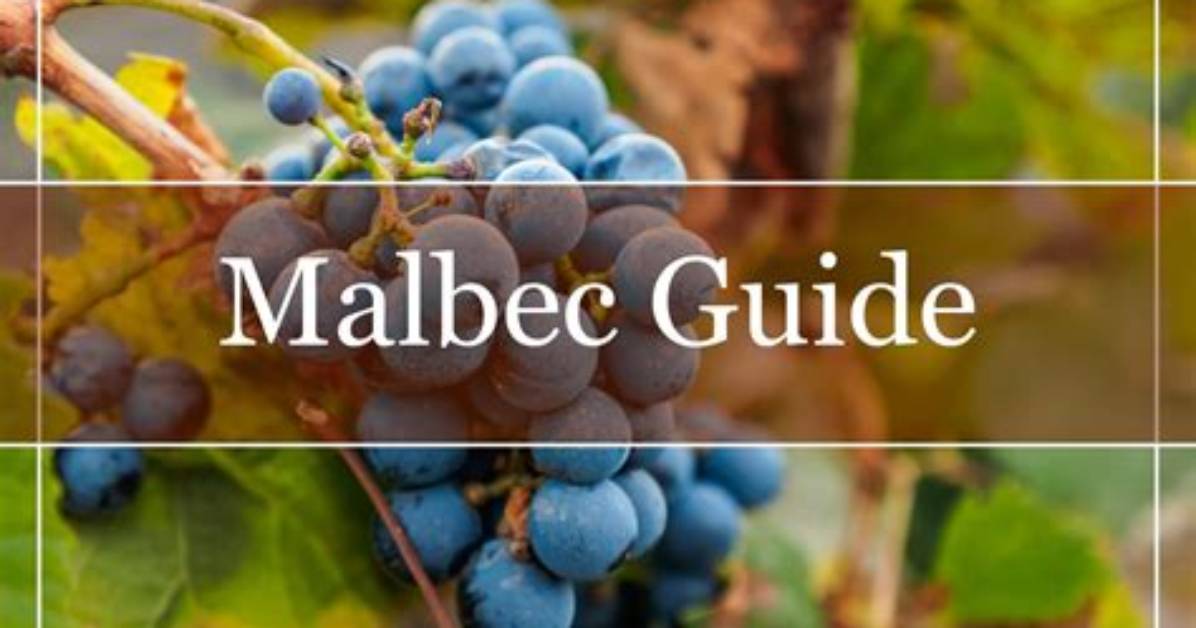 What Does Semillon Mean?