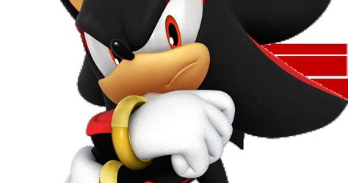 What Does Shadow the Hedgehog Do?