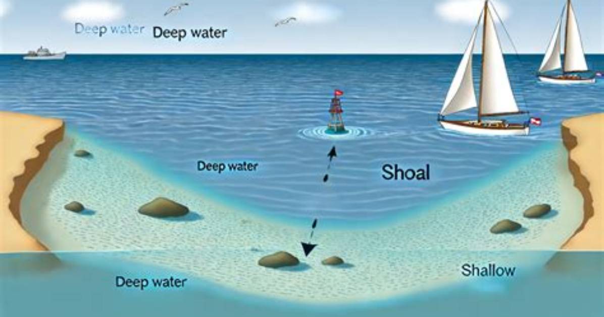 What Does Shoals Mean?