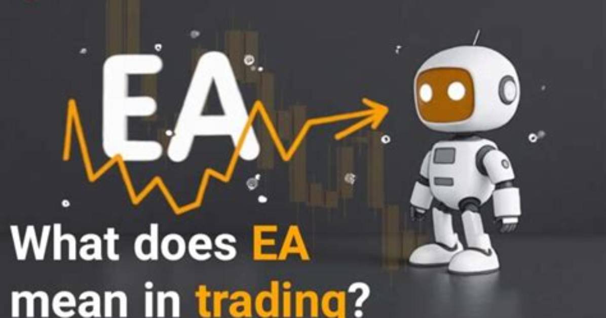 What Does Size Ea Mean