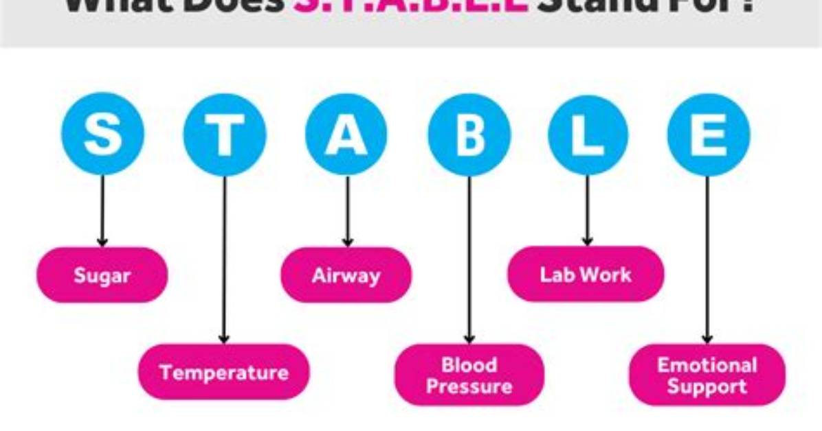 What Does Stable Stand For
