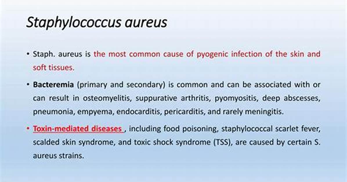 What Does Staphylococcemia Mean?