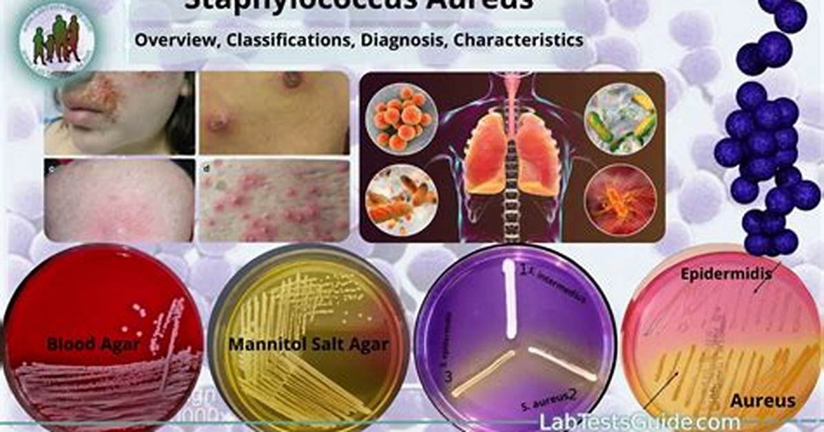 What Does Staphylococcus Come from?