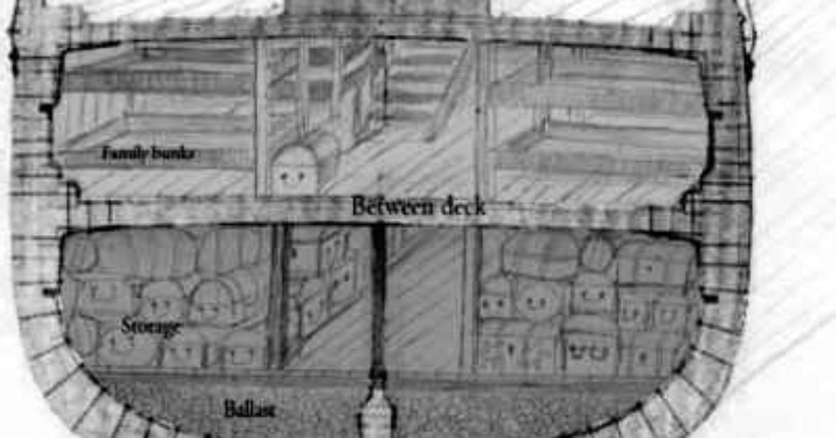 What Does Steerage Mean?