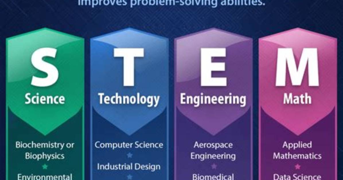 What Does Stem Mean?