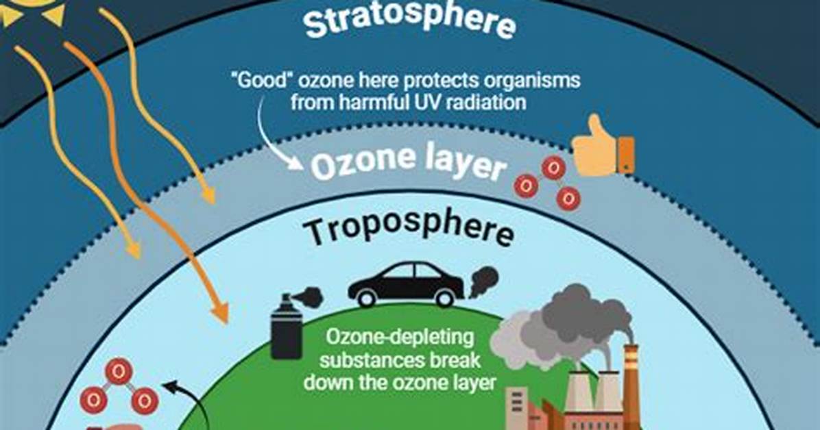 What Does Stratospheric Ozone Do