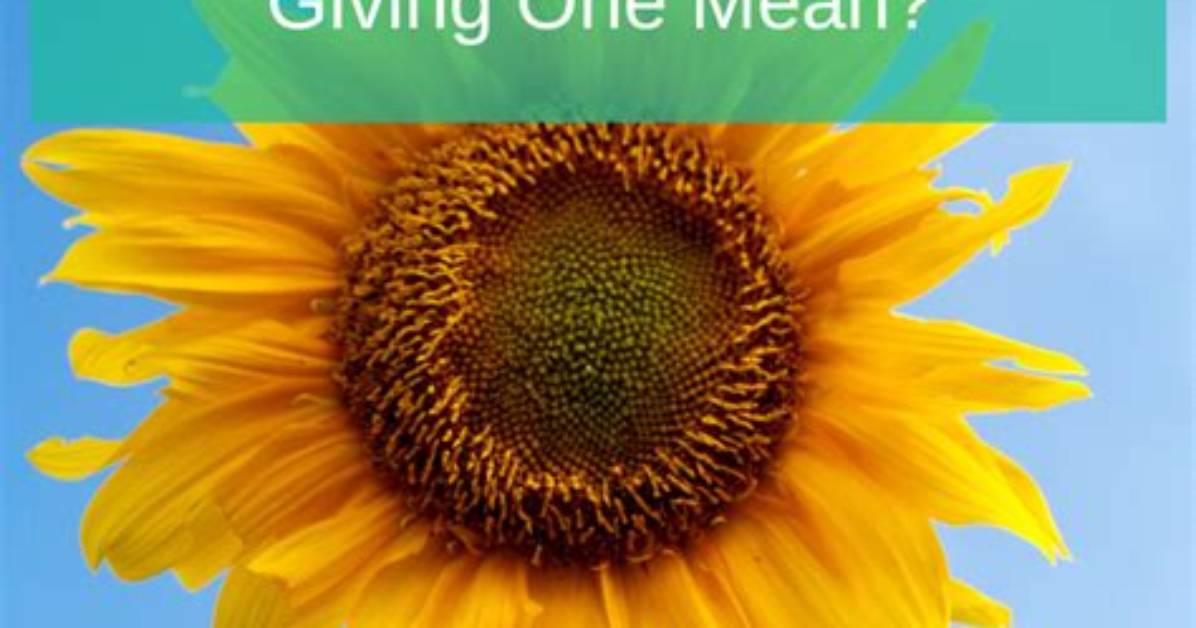 What Does Sunflower Stand for?