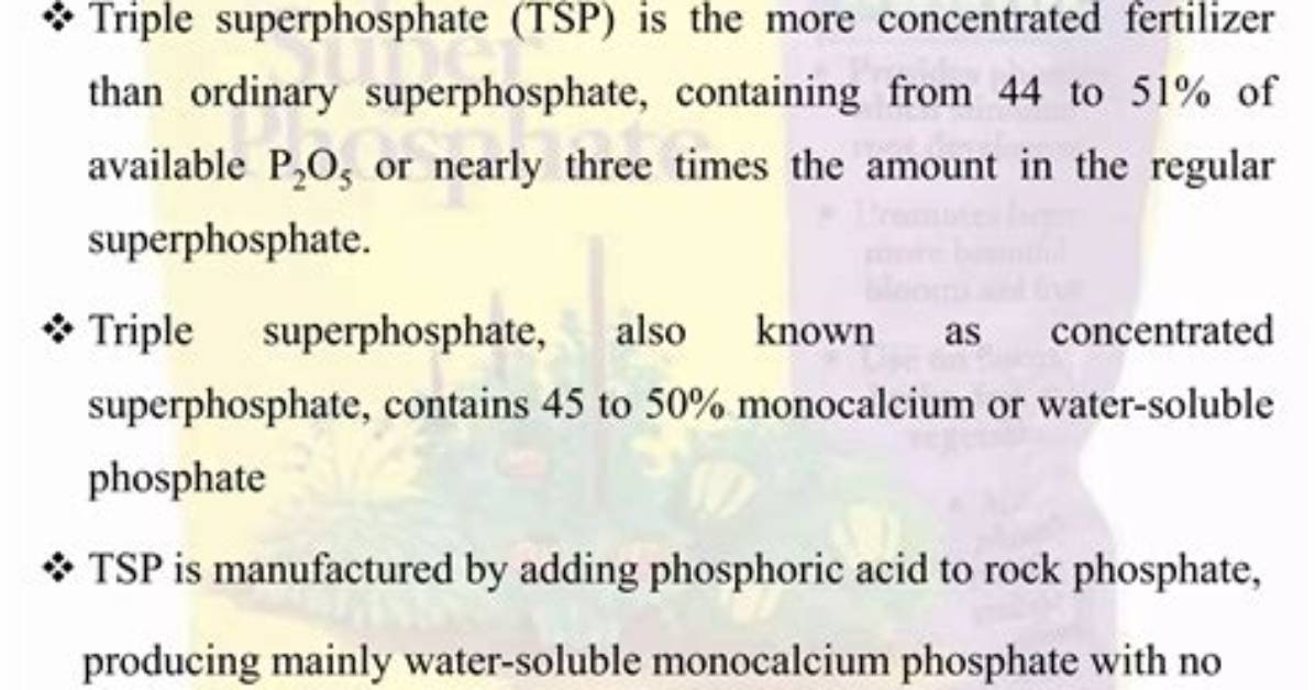 What Does Superphosphate Contains?