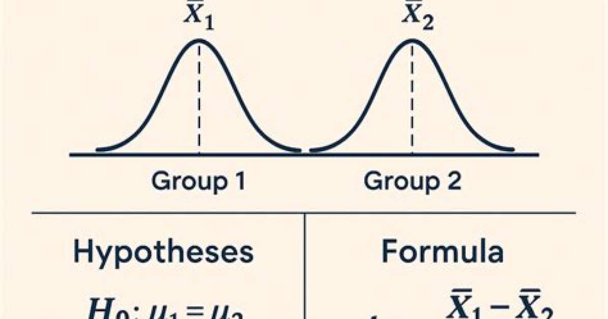 What Does T Test Do in R