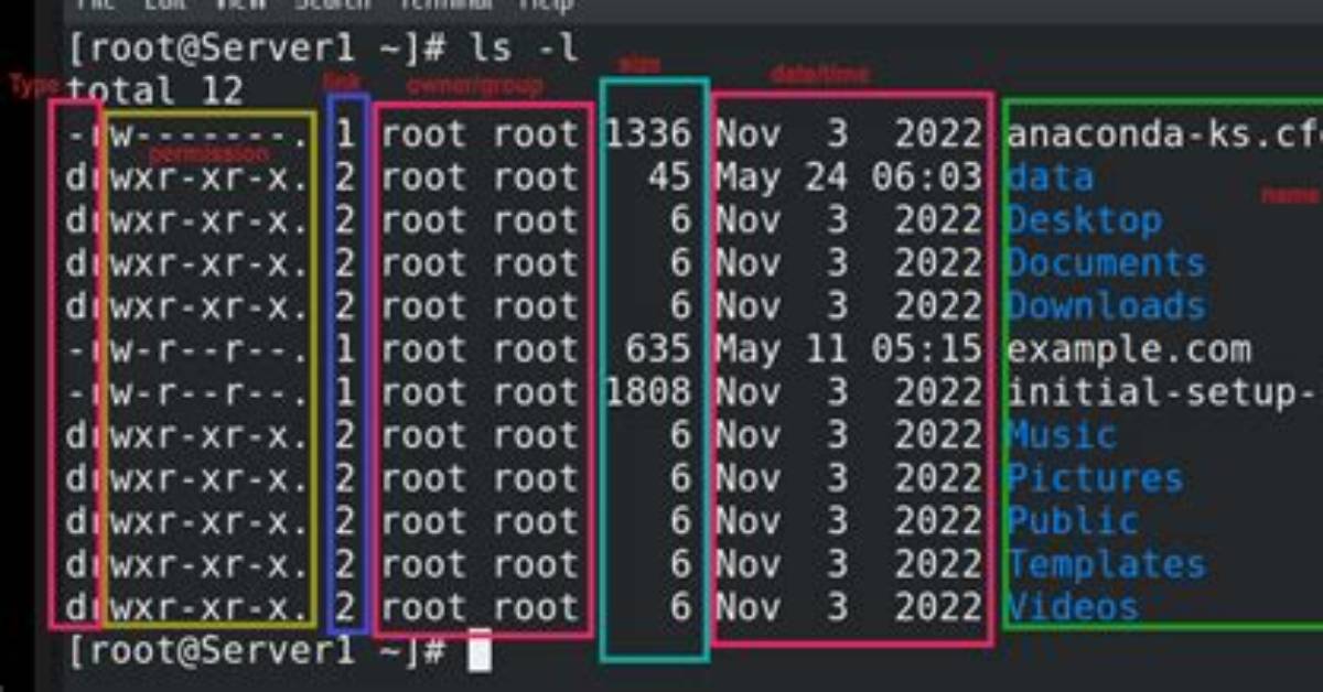 What Does Terminal Command: Ls -L Show?