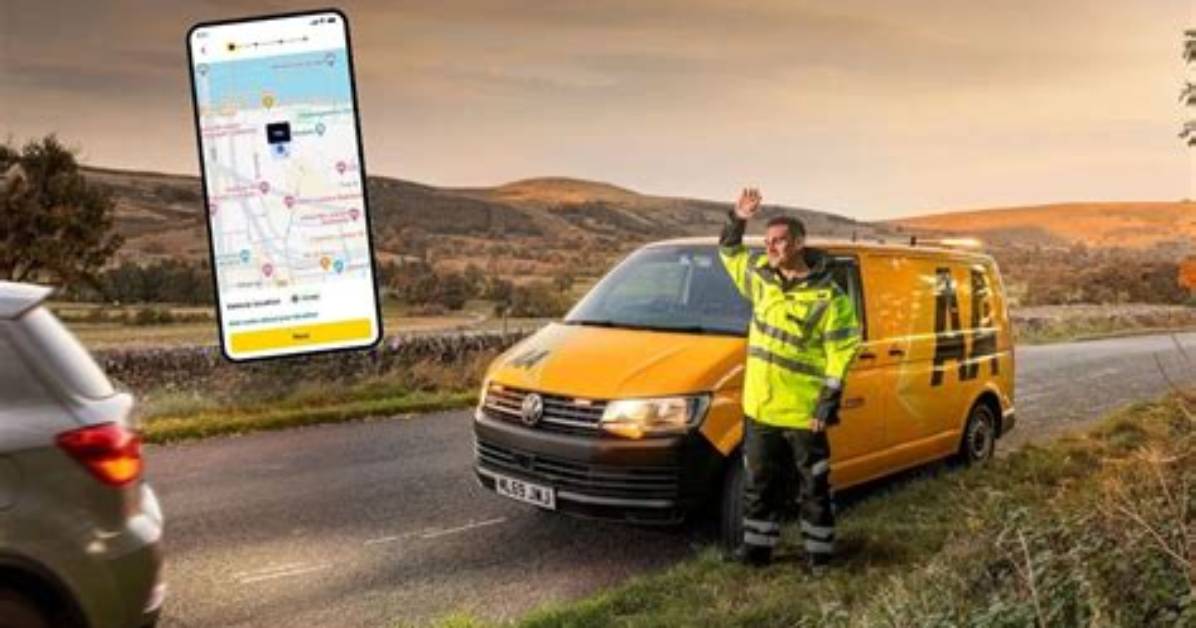 What Does the Aa App Do