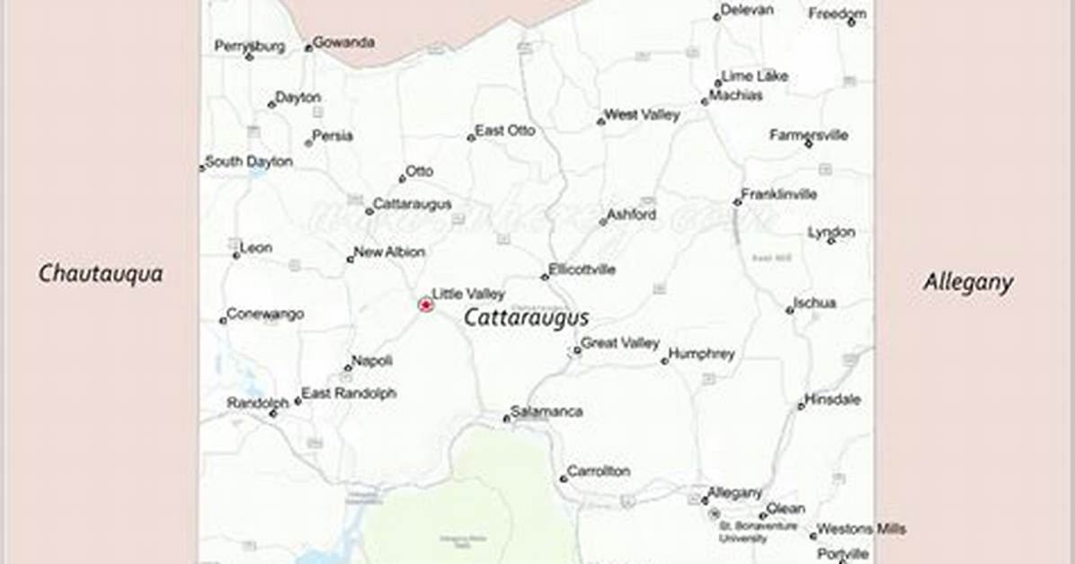 What Does the Cattaraugus?