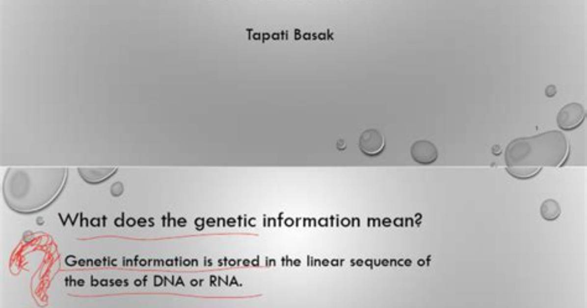 What Does the Combined Genetic Information of All Members of a Particular Population Form?