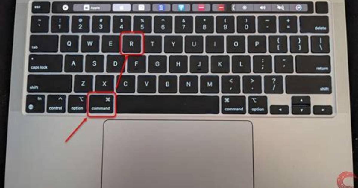 What Does the Cut Command Do in Unix?