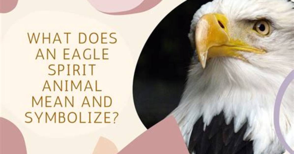 What Does the Eagle Mean on the Great Seal