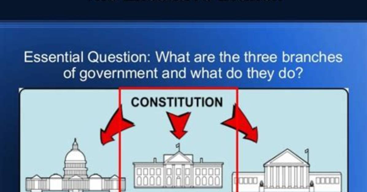 What Does the Executive Branch Do in Illinois