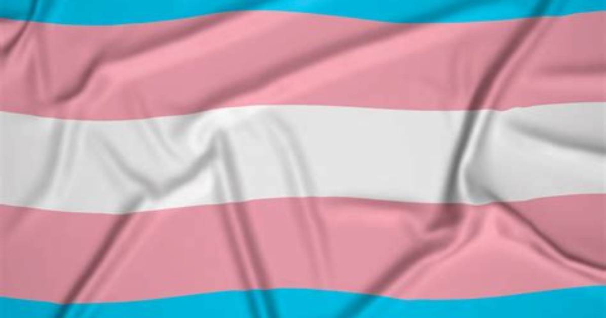 What Does the Fpermissive Flag Do?
