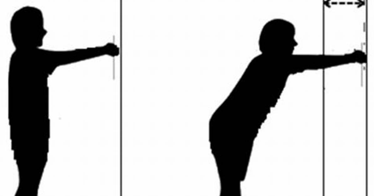 What Does the Functional Reach Test Measure