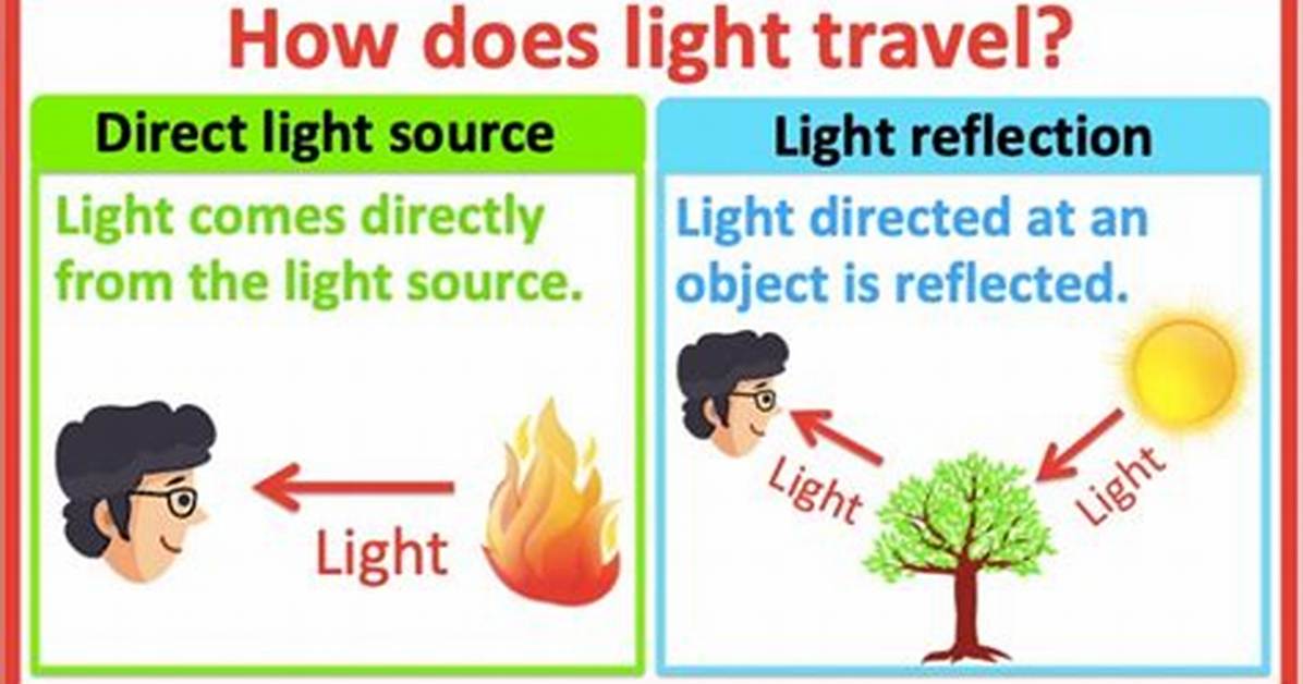 What Does the Light Source Do on a Microscope