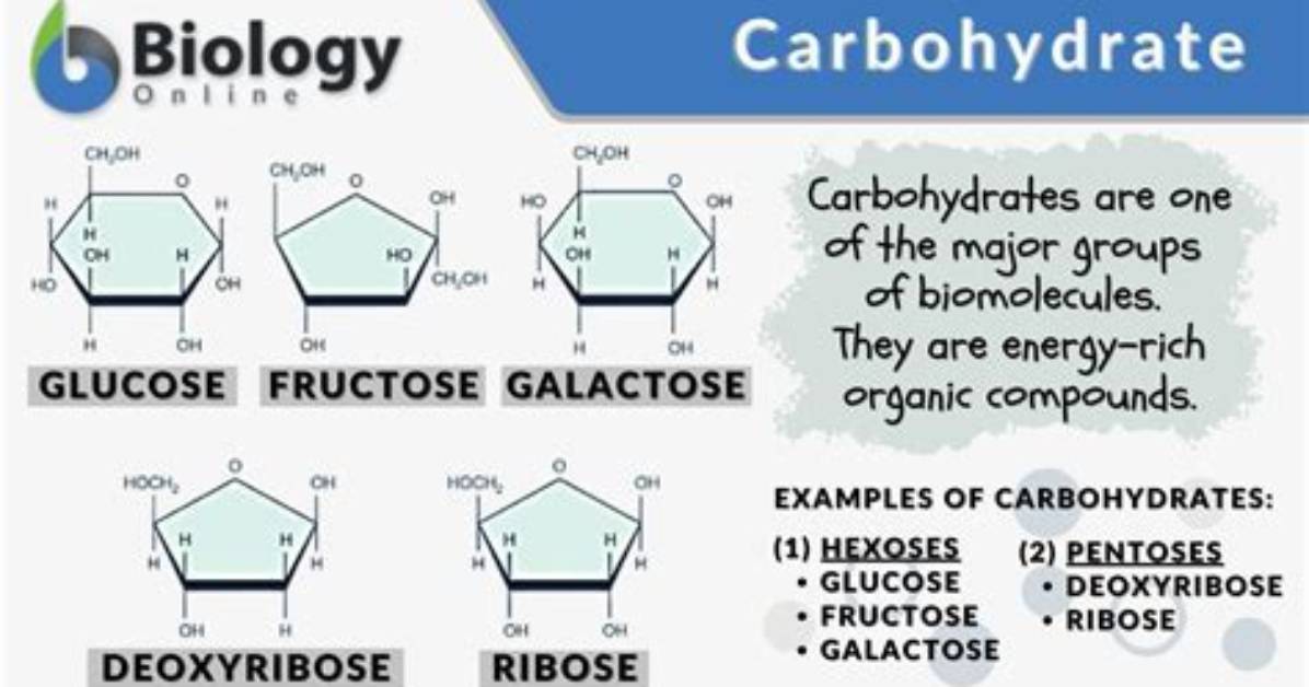 What Does the Name Carbohydrate Mean