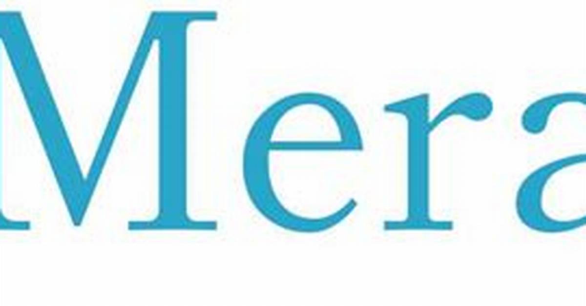 What Does the Name Merari Mean?