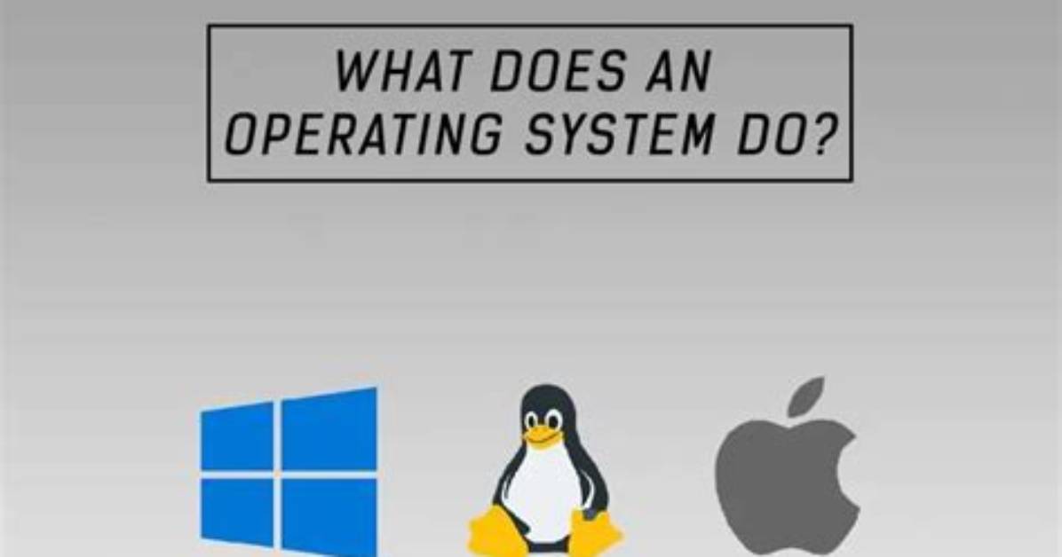 What Does the Operating System Do?