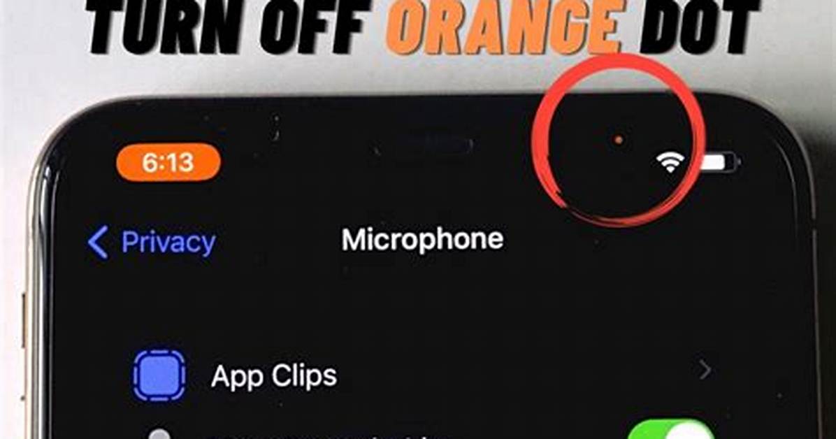 What Does the Orange Dot Mean on iOS 14?